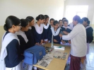 school of nursing_8